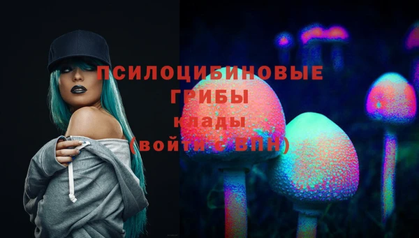 стафф Балабаново