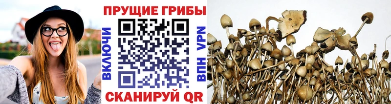 Псилоцибиновые грибы MAGIC MUSHROOMS Вилюйск